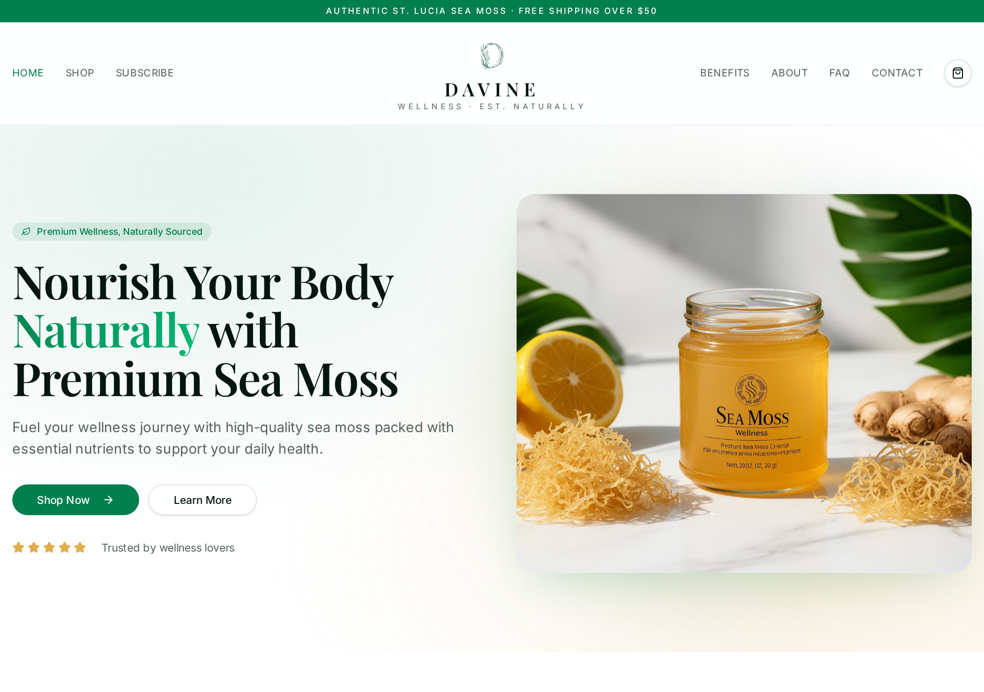 Davine Wellness website preview